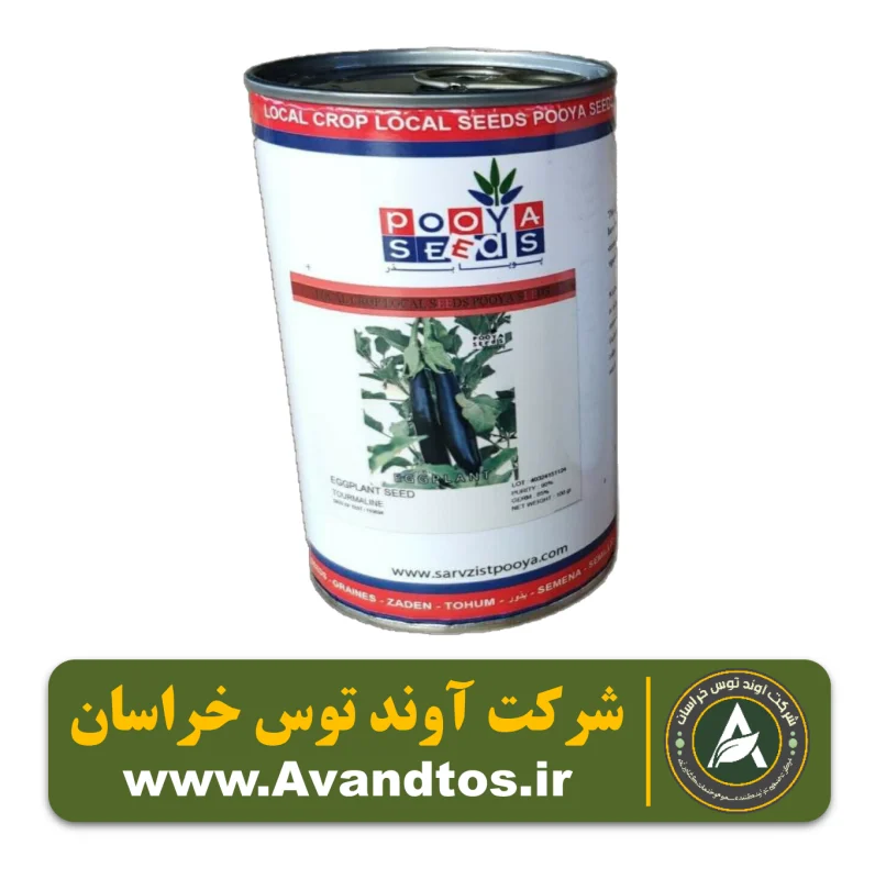 بذر بادمجان قلمی تورمالین پویا بذر