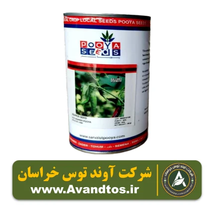 بذر فلفل قلمی تند پویا