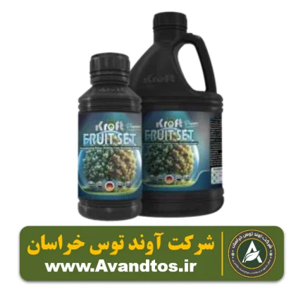 فروت ست کرافت