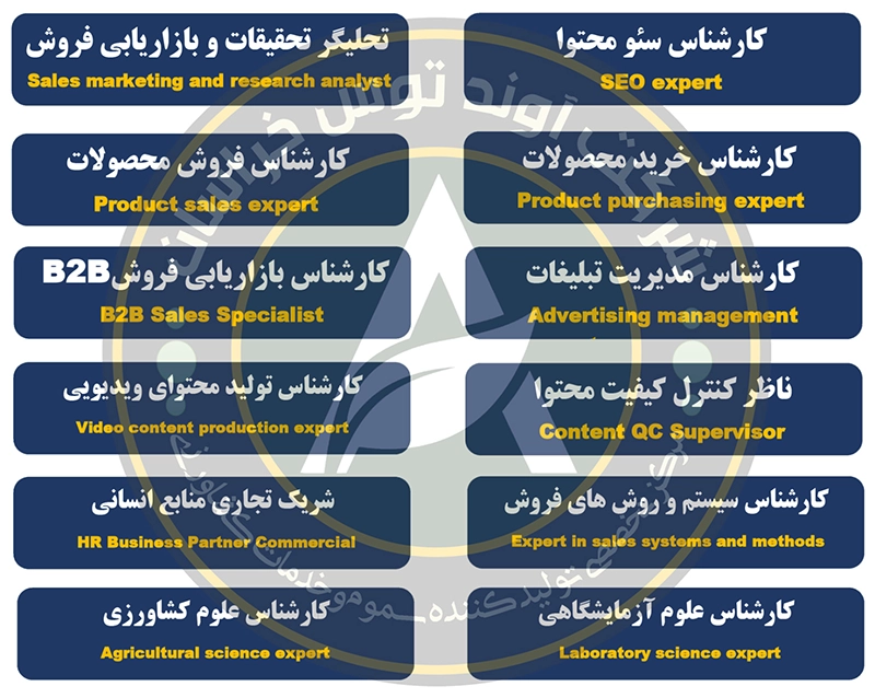 کارشناس سئو